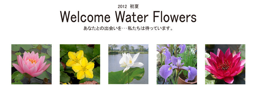 2012 初夏
