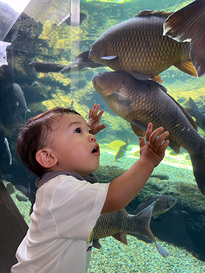 思い出写真コンテスト2024写真展－【公式】淡水魚水族館の栃木県  