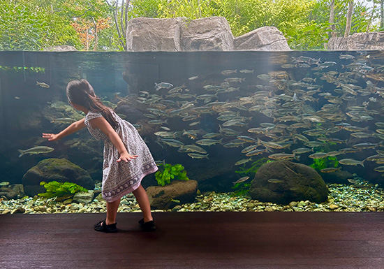 公式 淡水魚水族館の栃木県なかがわ水遊園