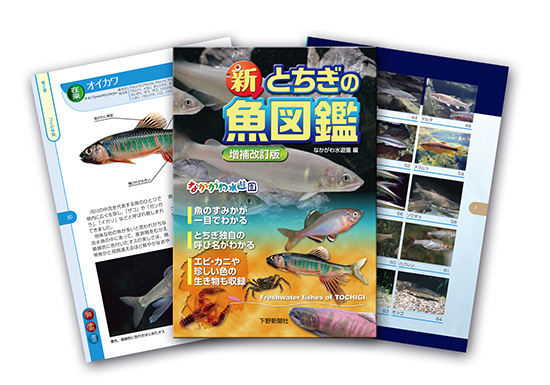 新とちぎの魚図鑑 発売決定 公式 淡水魚水族館の栃木県なかがわ水遊園