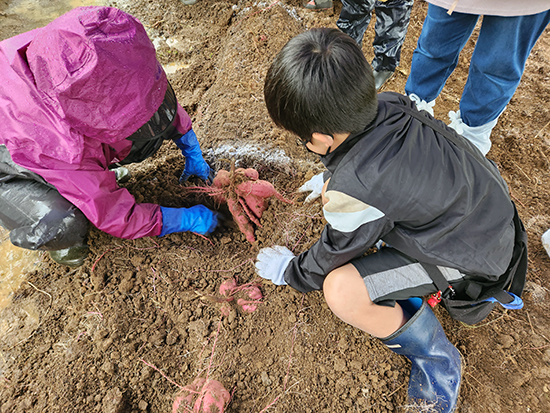 水遊園の思い出にいかが？