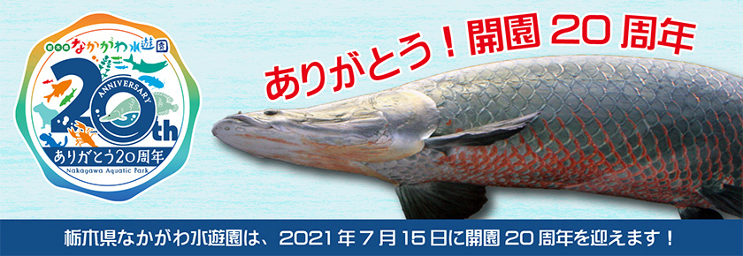 公式 淡水魚水族館の栃木県なかがわ水遊園