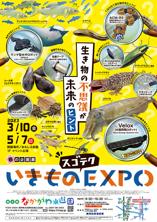 ポスター