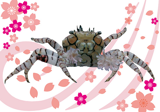 ぜひご覧ください！