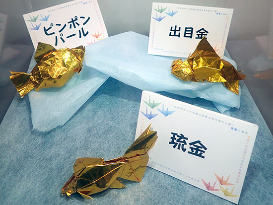 ぜひご覧ください！