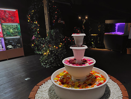 とっておきの1枚を応募しよう！