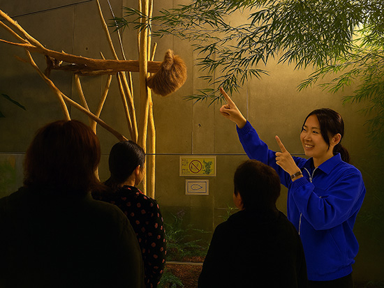 活動的な姿が見られるかも？！