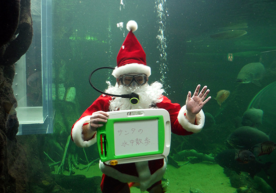 水遊園の思い出にいかが？