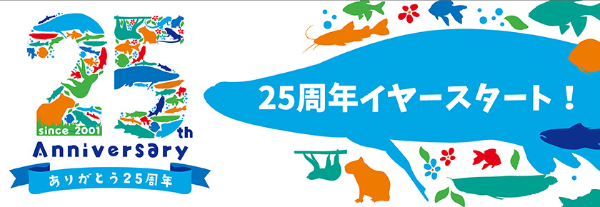 2026周年イヤースタート