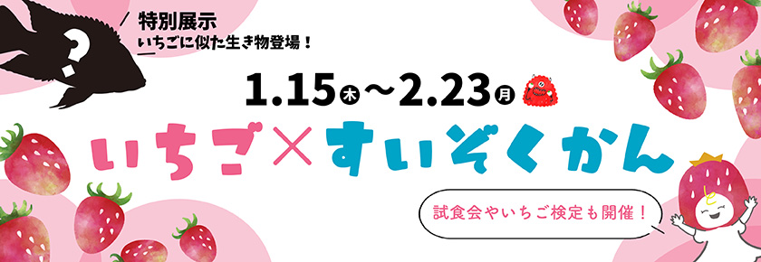とちぎ×いちご×すいぞくかん特別展示