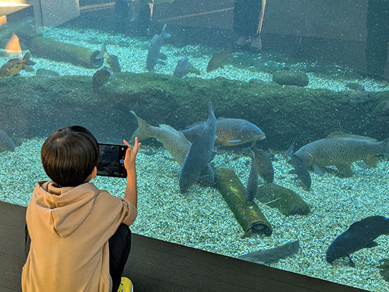 タブレットを使ってクイズに挑戦！