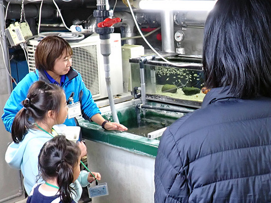 飼育員と一緒に出掛けよう！