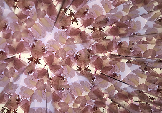 手作り体験してみよう！