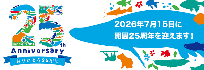 2026周年イヤー